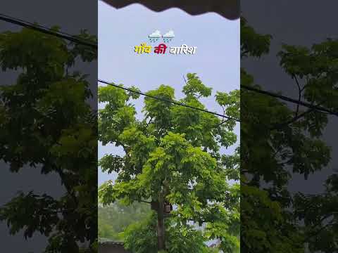 4 mahina barikha ke din #song #vayralshorts #shortvideo