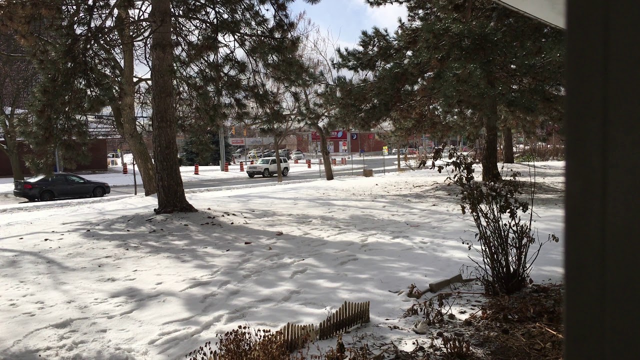 Айгуль Рахимова ft Rushad Rakhimov "Син минем жанымнын яртысы" 2018 Сover на башкирском языке