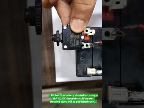 Automotive Mini Circuit Breaker