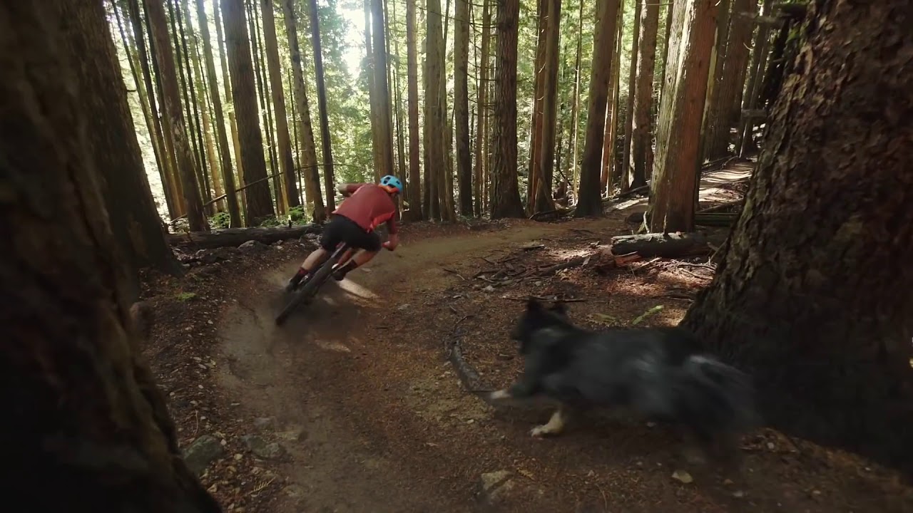 Race Face Next SL  Rupert likes to go fast