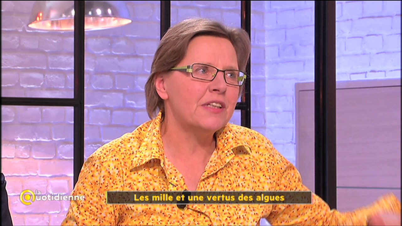 Les mille et une vertus des algues - La Quotidienne