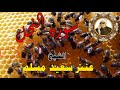 الشيخ عنتر سعيد مسلم سوره النحل مرتل انتاج صوت الغربية