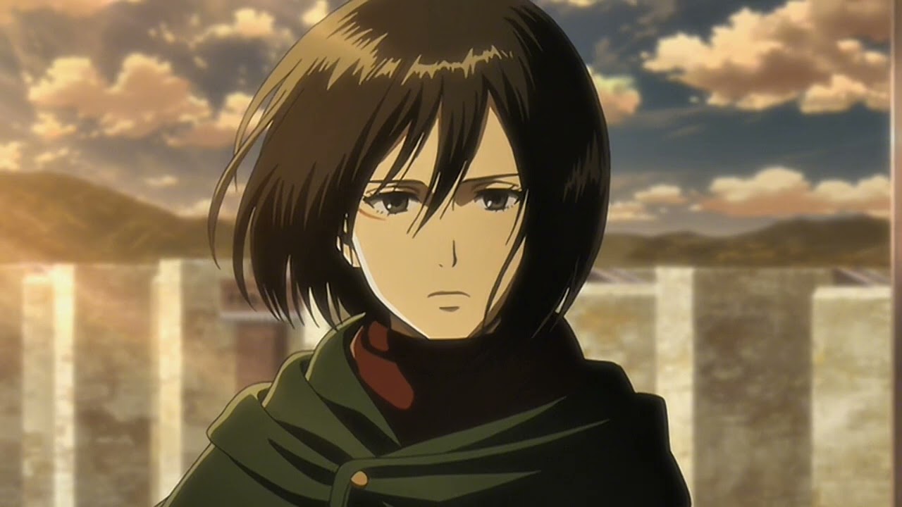 Mikasa-RAP 