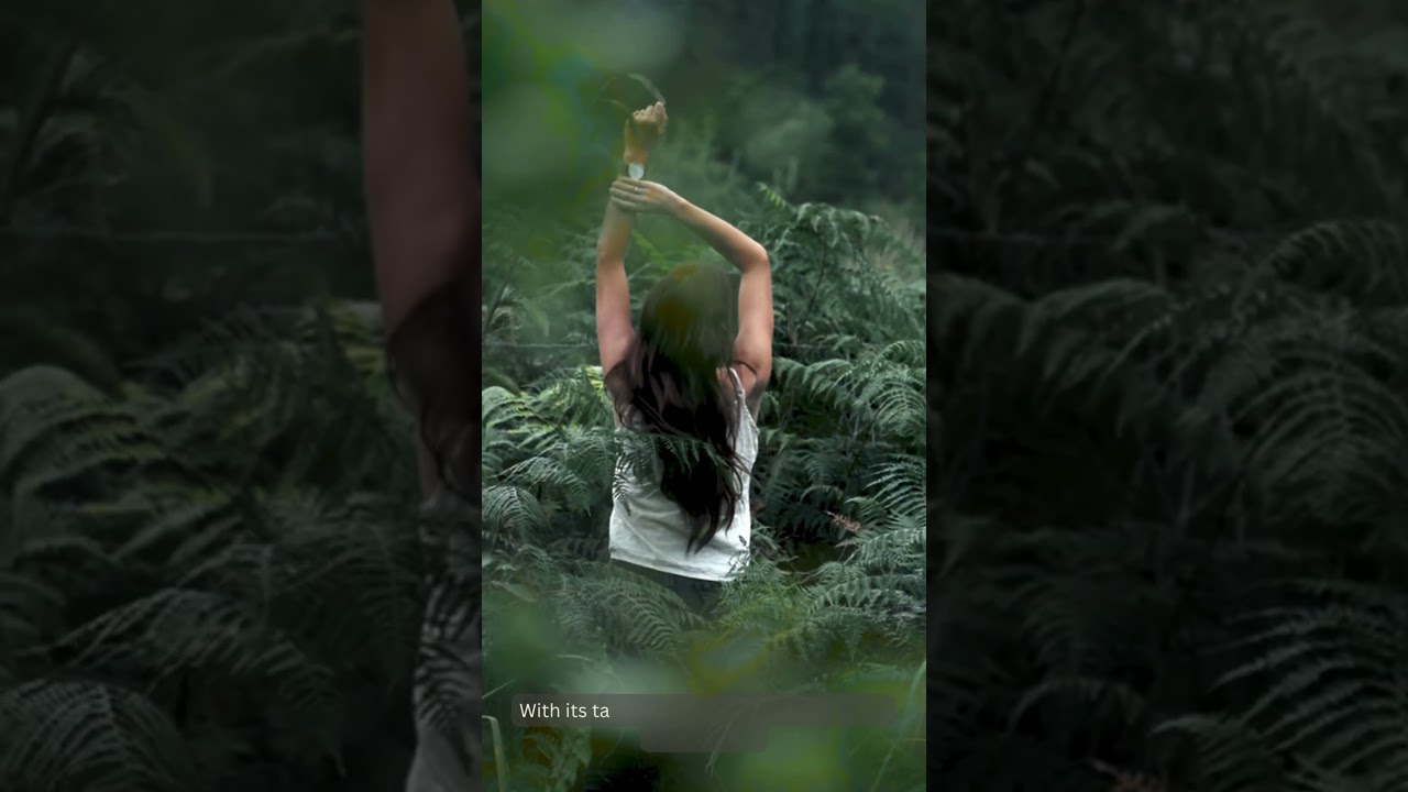 Restolin Review: A Personalized Journey to Reclaiming Your Hair’s Vitality