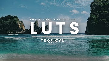 The 5 Best Free Cinematic LUTs 2025