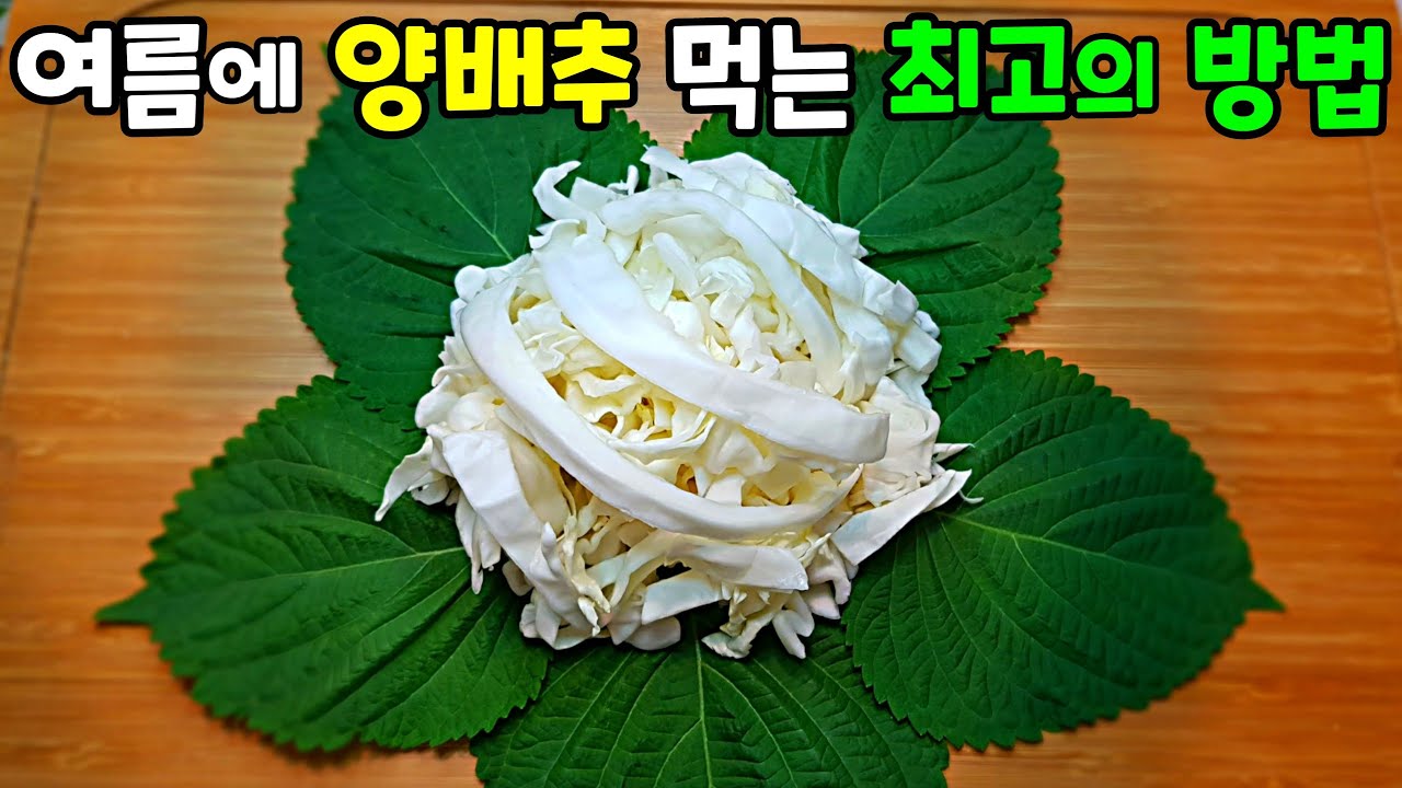 양배추 무침