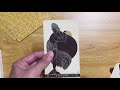 Beginning of video