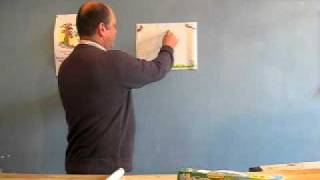 Kalimage : des feuilles magiques