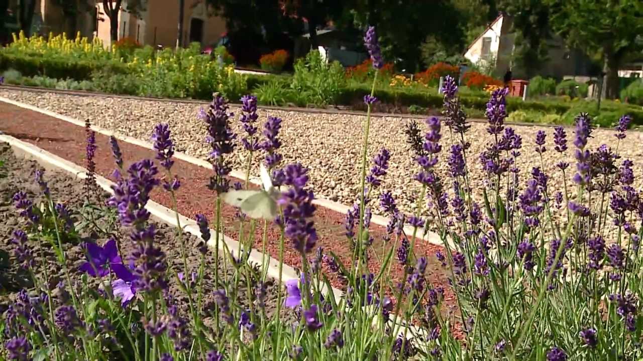 Ogród zmysłów w Owińskach dla niewidomych