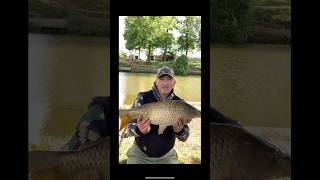 COUPLE OF HRS ON FHE BANK #fishing #carp #fish #carpfishing #angling #carplife
