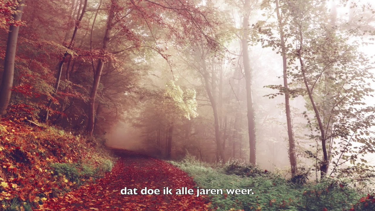 Vrijeschoolliederen | Herfst, herfst wat heb je te koop? | Herfstliedje