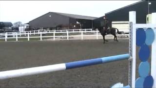 Marie Ryan Jumping her youngster - 06.02.13 - that horse is going to be a superstar!