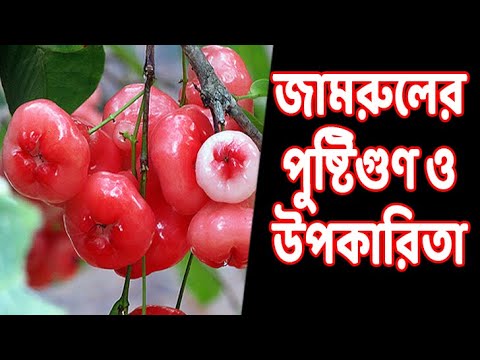 Janarul Rrrr জামরুলের পুষ্টিগুণ ও উপকারিতা Nutritional value and benefits of jamrul ...