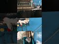 Metal stamping factory in China#metalstamping #madeinchina #shortvideo#custommetalparts