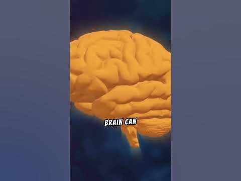 "Unbelievable Secrets of the Human Brain Revealed: Prepare to Be Amazed