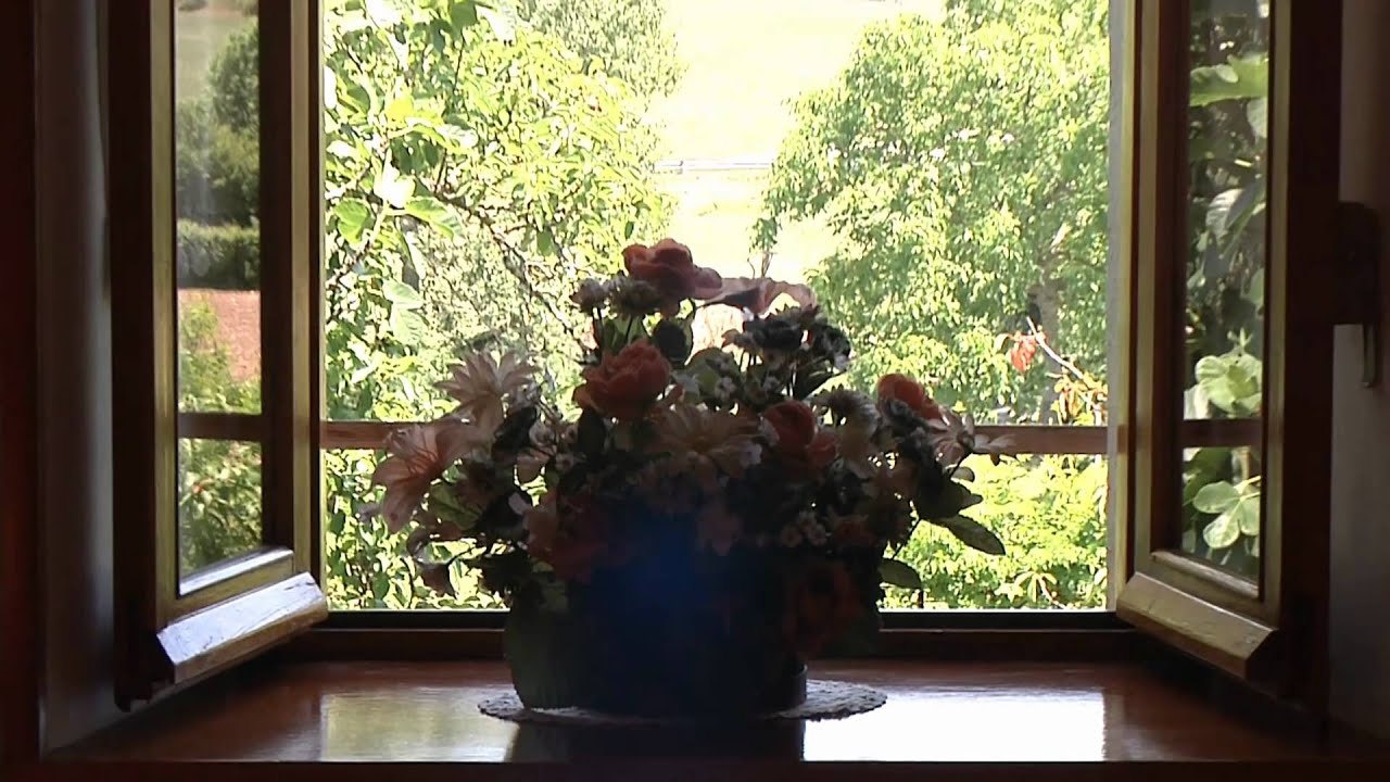 Casa Rural Zubiarena - Satrústegi - Navarra