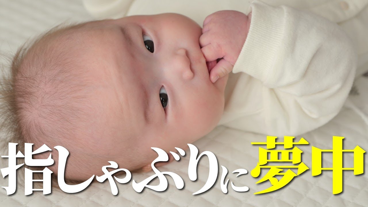 День 122: Дневник японского малыша 