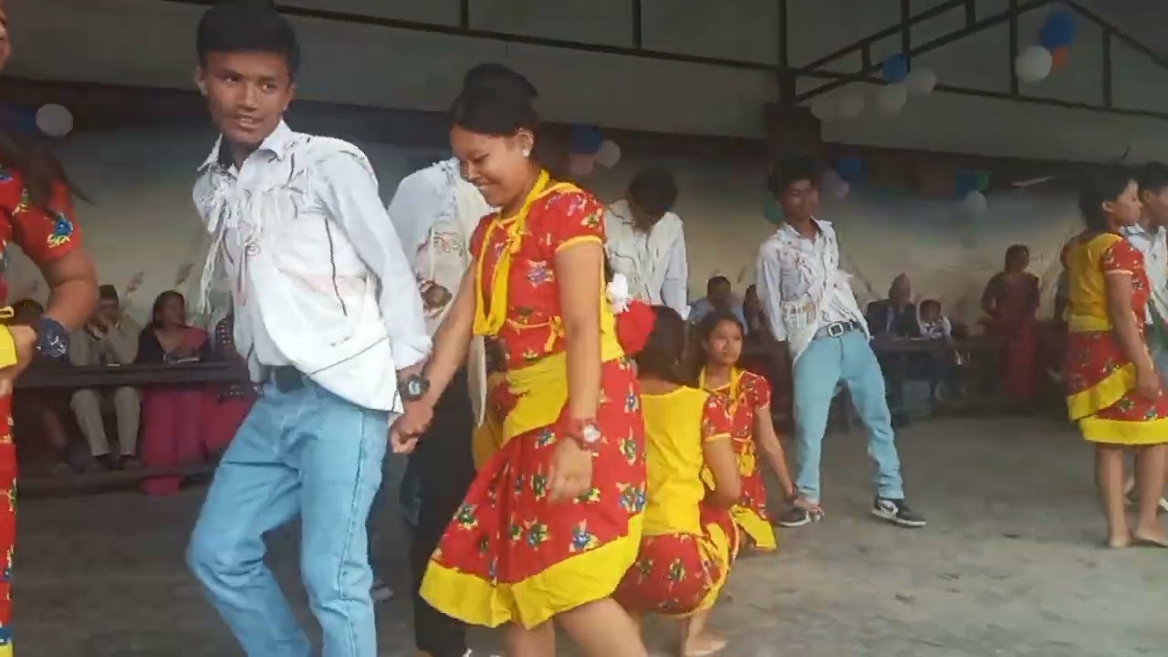 tihaar ko special dance chulachuli-3 Peltimariilam //shree janata secondary school//