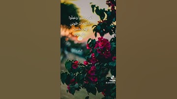 تلاوة عطرة للشيخ عبدالله المطرود #quran