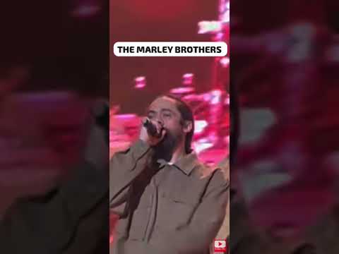 The Marley Brothers 2024