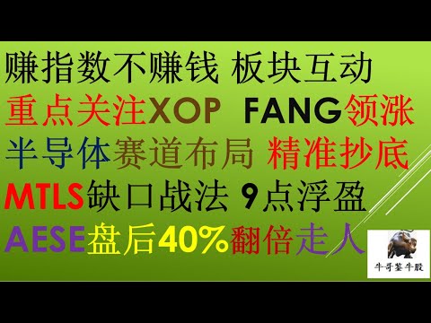 165 赚指数不赚钱 板块互动重点关注XOP  FANG领涨 半导体赛道布局 ASX精准抄底MTLS缺口战法 9点浮盈 AESE盘后40%翻倍走人