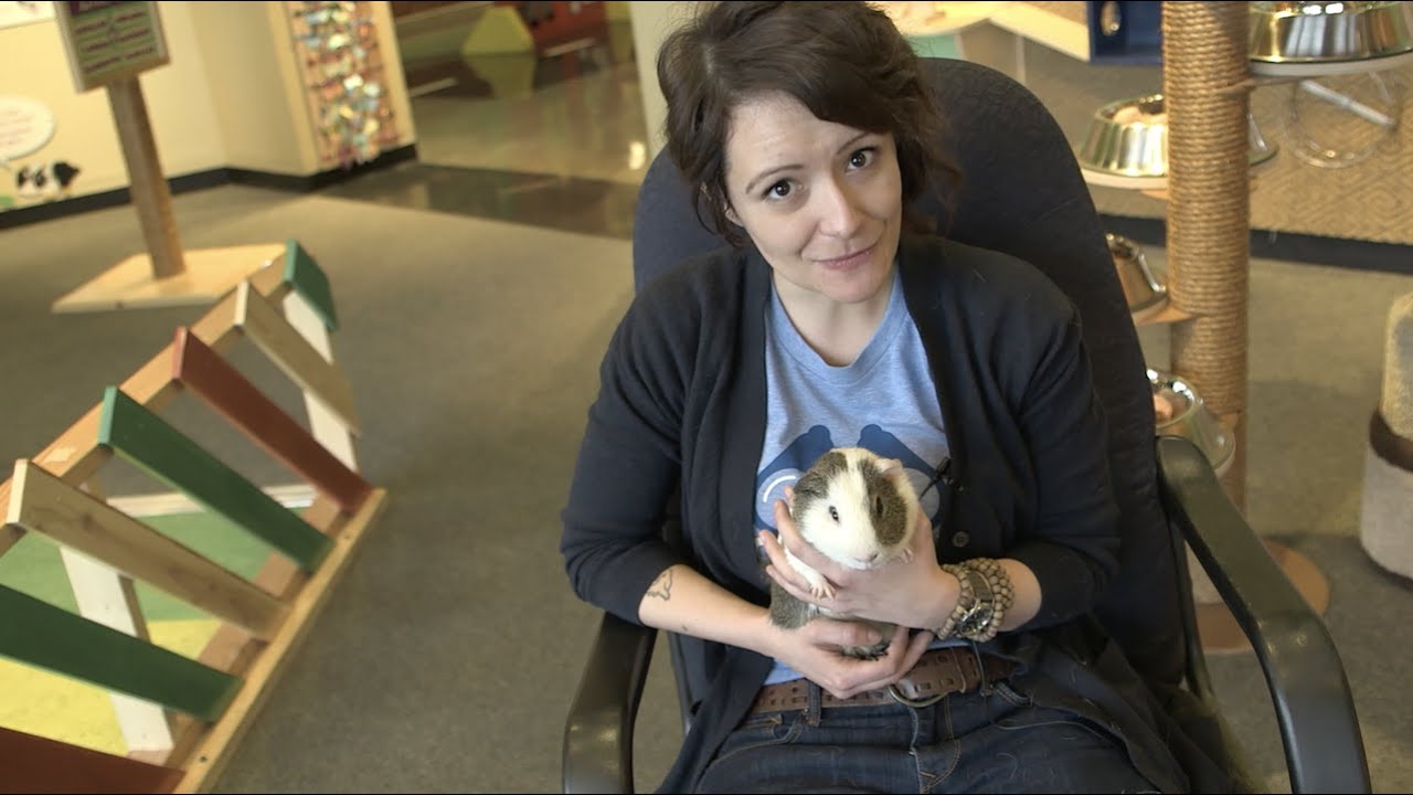 Should you bring a pet into your preschool classroom? | NO SMALL MATTER a film about early education