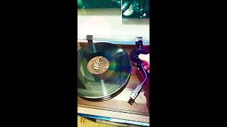 Iron & Wine - Autumn Town Leaves