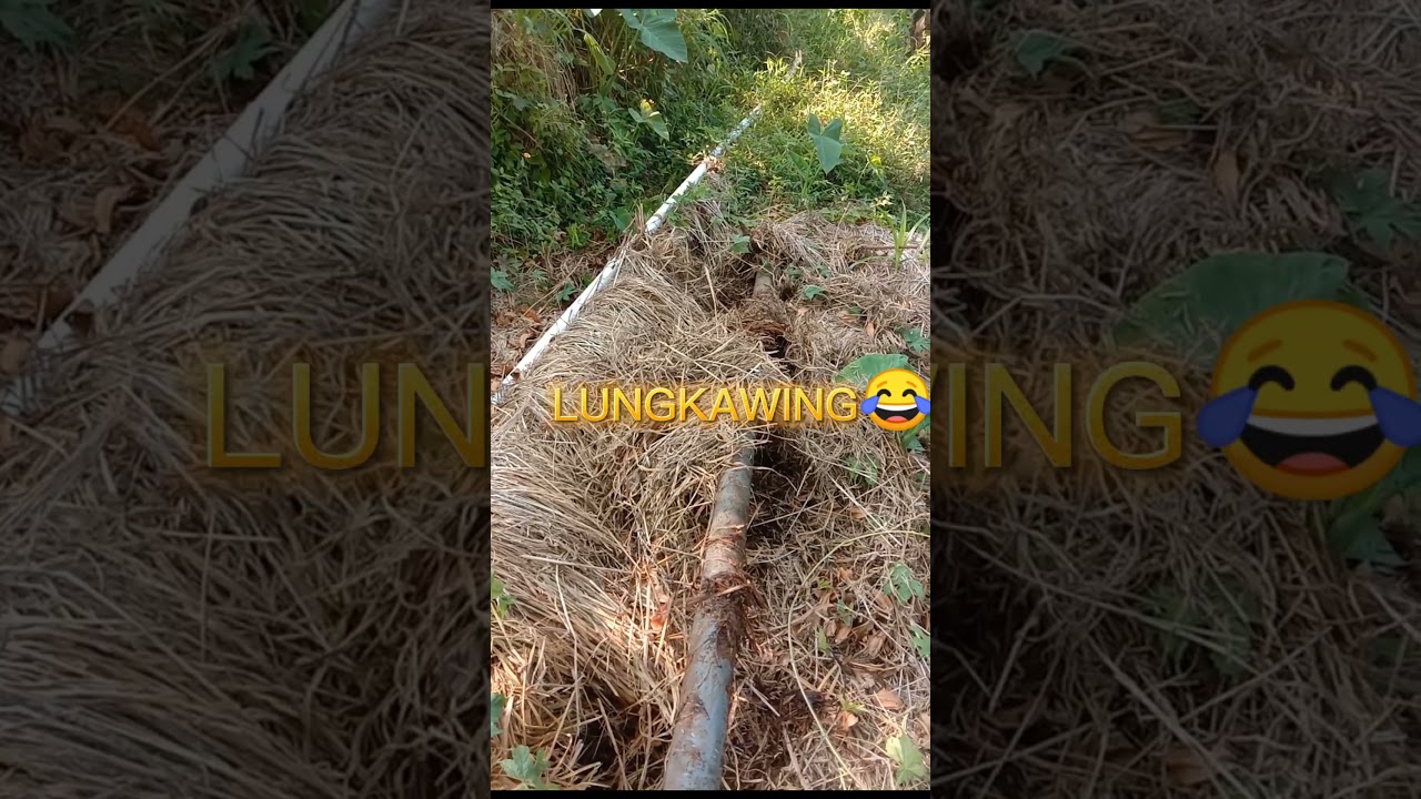 PETUALANGAN MANG OLBEN