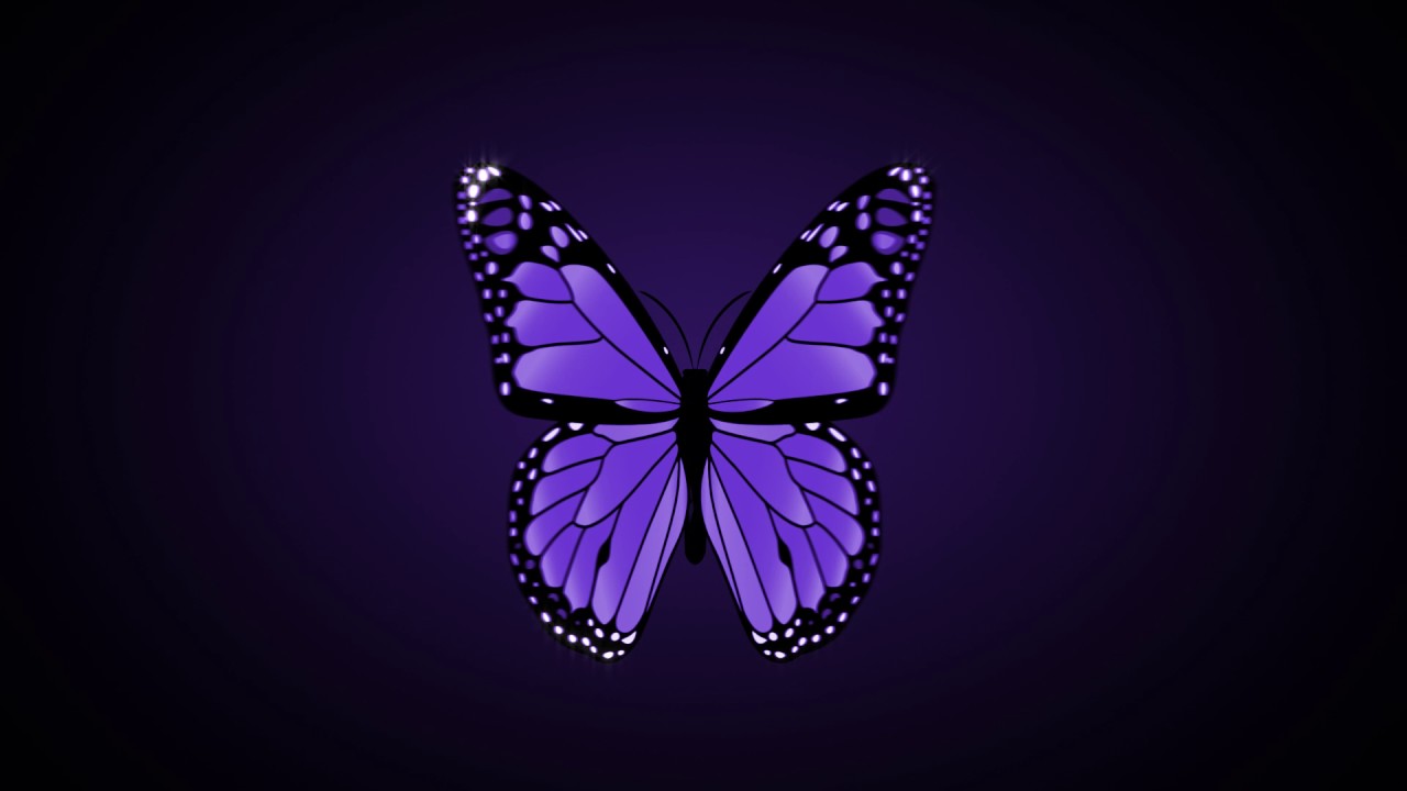 footage of chernobyl Purple Butterfly flapping wings - Free motion graphics