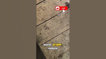 I Built A Bitcoin Mine In My House