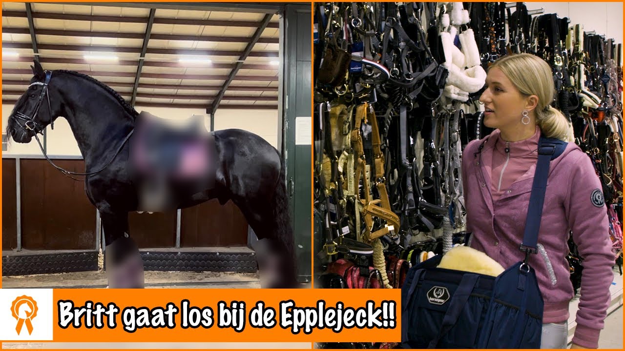 SHOPPEN VOOR EVE, JOHNNY en GEORGE | PaardenpraatTV
