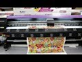 Сольвентный плоттер Mimaki SWJ-320. Печать на постерной бумаге City Light