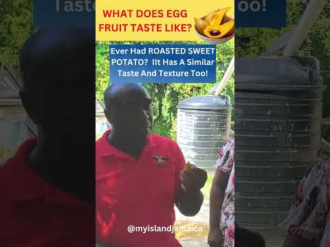 What Does #EggFruit Taste Like? [ FULL VIDEO LINK IN DESCRIPTION ] #FRUITS #fruity