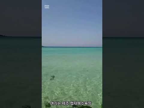 제주 협재해수욕장 파도소리ASMR#평온함#HyeopjaeBeach #OceanWaves  #OceanASMR#shotongalaxy