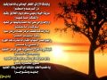 قصيدة يا بارقا لاح ـ بديوي الوقداني 