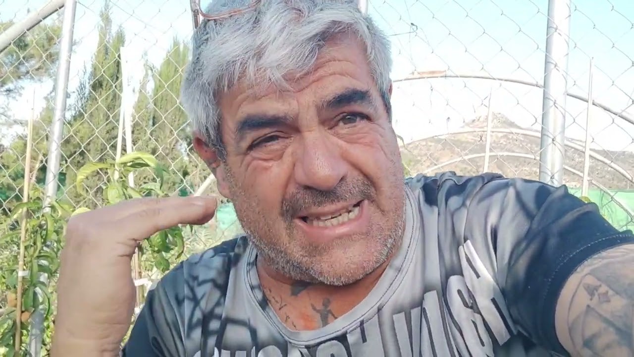 Como formar tu parra de uva de mesa.