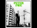 Peter Fox - Alles Neu [STADTAFFE]