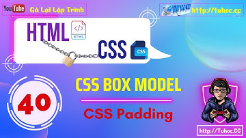 40. CSS Box model Hướng dẫn chi tiết về thuộc tính padding - CSS padding cho người mới