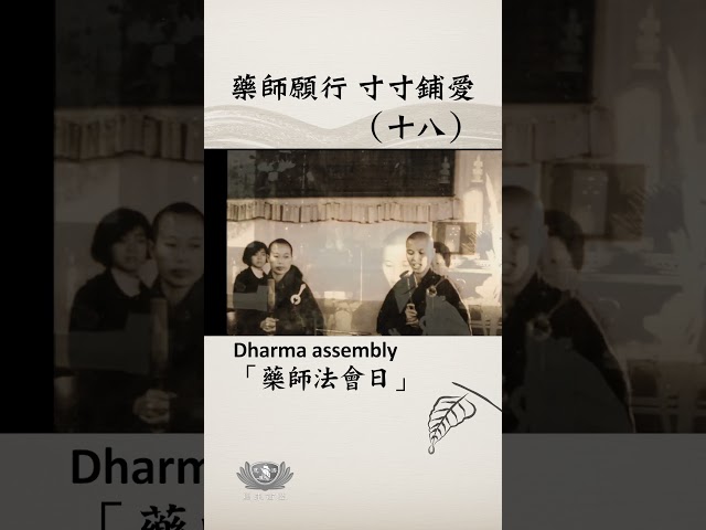 藥師願行 寸寸鋪愛