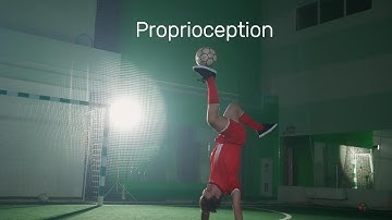 What Is Proprioception? How Chiropractic Adjustments Light Up Your Brain-Body Connection