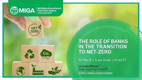 The Role of Banks in the Transition to Net Zero