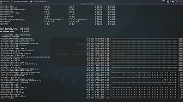 Arco : 4438 rebornos-keyring and rebornos-mirrorlist  - local is newer than ...