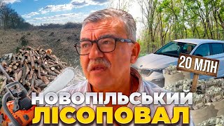 Чому не розслідують справу про спиляні дерева на трасі Кривий Ріг - Дніпро?