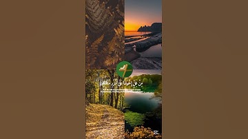 تلاوة من سورة الحجر😔🎧 بصوت القارئ هزاع البلوشي