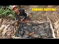 SURGA KEPITING BAKAU ADA DI PULAU INI ... !!!