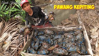 SURGA KEPITING BAKAU ADA DI PULAU INI ... !!!