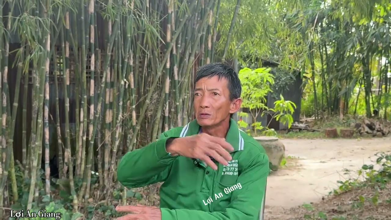 Cậu bảy Sống Ở Vùng Thất Sơn Bảy Núi Chạm Trán 1 Cặp Rắn Hổ Mây Nặng Hàng 100 Ký Trên Vùng Thất Sơn 