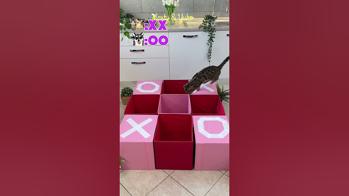 GATTO vs CANE: Chi VINCERA' al gioco del TRIS? 🙀👾🐶 #cane #gatto #tris #tictactoe #cat #dog