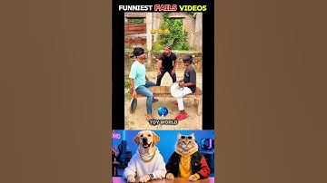 Give this video title 🗿😂 | Part 2 #cat #dog #meme #dance #trending #tiktok