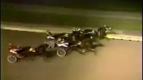 1982 Roosevelt Raceway PEGASUS LOBELL Sal Sparacino